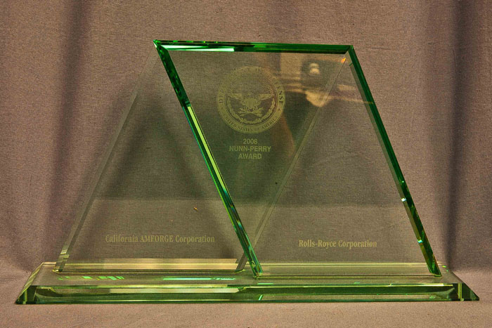 2008 Nunn Perry Award